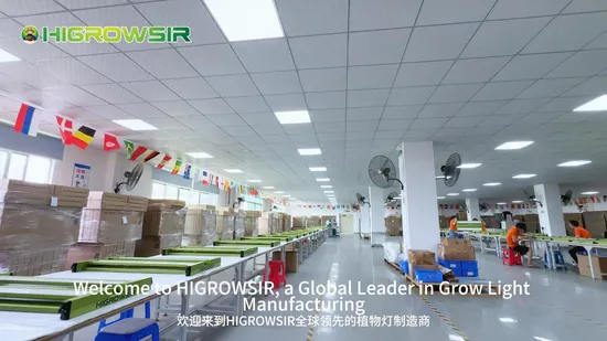 Intercrop Light Full Spectrum Etlled Grow Light Brand LED Driver for Vertical Farm