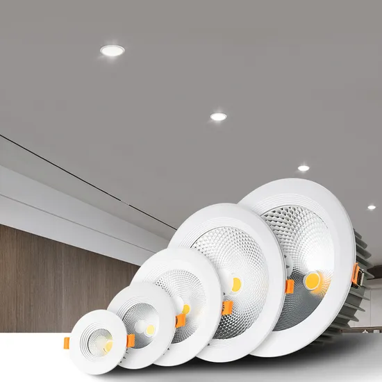 Modern LED Recessed Downlight Ceiling Spotlight for Indoor Spaces Light