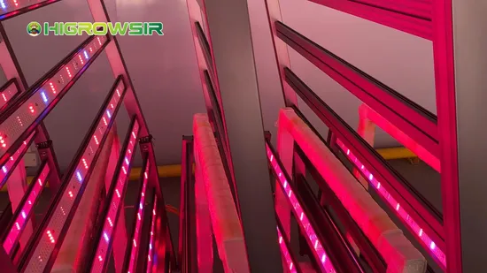 Vertical Farming LED Grow Light 800W 4X4FT Coverage Full Spectrum UV/IR Enhanced