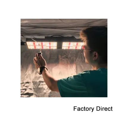 Qb UVB/UV Energy Saving 2X2 Factory Direct 1000W Germination Plant Grow Light for Indoor Plant Full Spectrum with Seoul LEDs (RoHS)