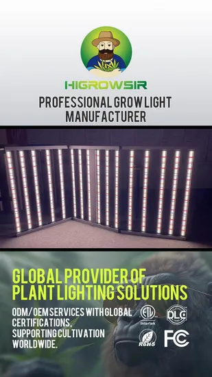 800W Vertical Farming LED Grow Light Full Spectrum + UV/IR Boost for 4X4FT Commercial Growth