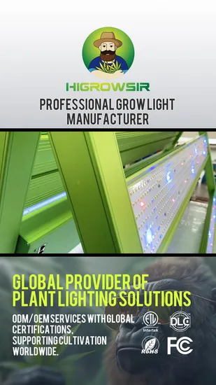 1200W 4X6FT LED Grow Lights Full Spectrum with High Energy UV IR