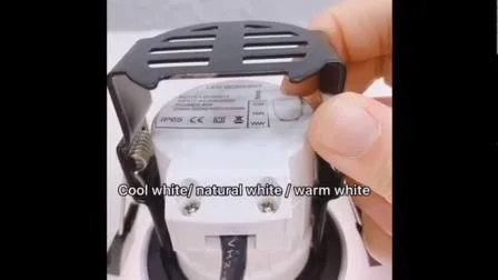 DC 12V Lamp Adapter 10W LED Desk Light 